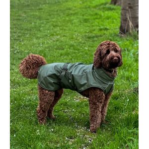 Dogs&Co Honden Regenjas Raindog Groen Maat S