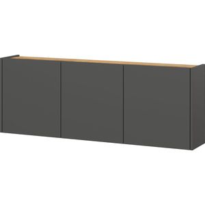 Opbergkast Aniek Grafiet - Breedte 138 cm - Hoogte 52 cm - Diepte 25 cm - Met planken - Met openslaande deuren