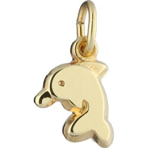 Glow kinderbedeltje dolfijn - goud 14 kt