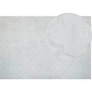 GHARO - Shaggy vloerkleed - Lichtgrijs - 160 x 230 cm - Polyester