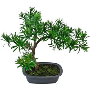 Greenmoods Kunstplanten - Kunstplant - Bonsai Podocarpus - 40 cm