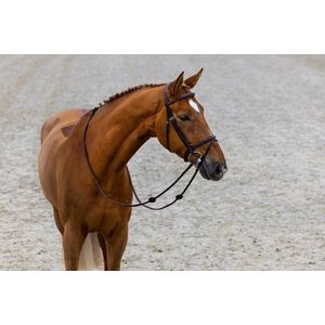 Calgary Combined Noseband Hoofdstel