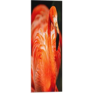 WallClassics - Vlag - Rode Flamingo - 20x60 cm Foto op Polyester Vlag