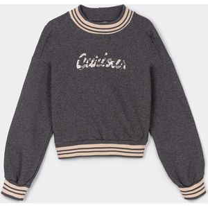 Tiffosi sweater grijs/roze  maat 176