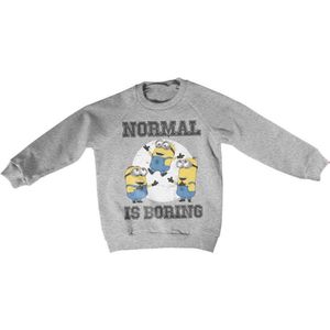 Minions Sweater/trui kids -Kids tm 8 jaar- Normal Life Is Boring Grijs
