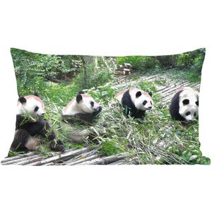 Sierkussen Panda voor binnen - Reuze pandas in de natuur - 50x30 cm - rechthoekig binnenkussen van katoen