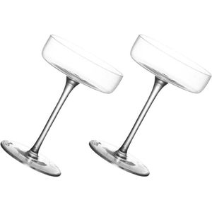 Heldere Daiquiri Martini cocktailglazen - voor partybars - 2 stuks verschillende cocktailglazen