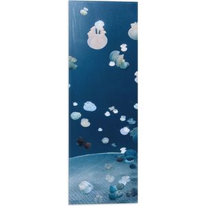 WallClassics - Vlag - Blauwe, Witte en Zwarte Kwallen in de Zee - 20x60 cm Foto op Polyester Vlag