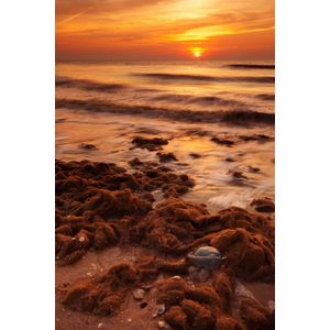 Dibond - Zee / Water - Strand in oranje / geel / blauw / beige / wit / zwart - 80 x 120 cm.