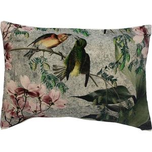 Sierkussen - Groot Rechthoekig Fluweel Charming Kussende Vogels - Multicolor - 60 Cm X 40 Cm