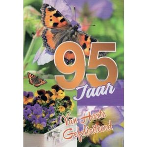 95 jaar! Van harte gefeliciteerd! Een kleurrijke kaart met prachtige vlinders en mooie bloemen! Een leuke kaart om zo te geven of om bij een cadeau te voegen. Een dubbele wenskaart inclusief envelop en in folie verpakt.