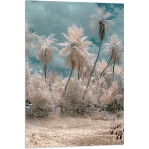 WallClassics - Vlag - Witte Palmbomen - 60x90 cm Foto op Polyester Vlag