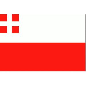 Vlag Utrecht 150x225cm