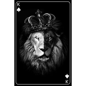 Kings of lion – 90cm x 135cm - Fotokunst op PlexiglasⓇ incl. certificaat & garantie.