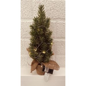 Countryfield - Kerstboompje groot - PER 2 STUKS - groen met jute voet - LED verlichting L12xB12xH33 cm - tip voor in het kerstpakket