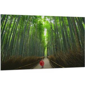 WallClassics - Vlag - Bamboe Bomen met Japanse Paraplu - 150x100 cm Foto op Polyester Vlag