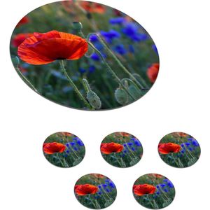 Onderzetters voor glazen - Rond - Kleurrijke Klaprozen in Nederland - 10x10 cm - Glasonderzetters - 6 stuks