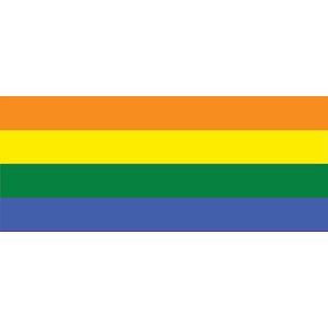 Flag Rainbow Gay Pride Photo Wallcovering