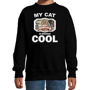 Auto rijdende katten / poezen trui / sweater my cat is serious cool zwart - kinderen - Katten liefhebber cadeau sweaters - kinderkleding / kleding 134/146