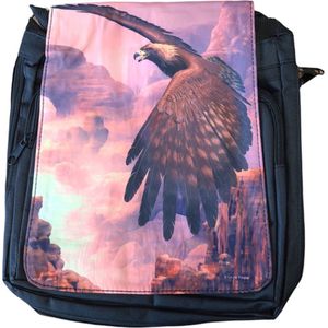 Canyon Flight Messenger Bag Small