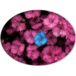 WallClassics - Dibond Ovaal - Blauwe Bloem in Roze Bloemenstruik - 40x30 cm Foto op Ovaal (Met Ophangsysteem)
