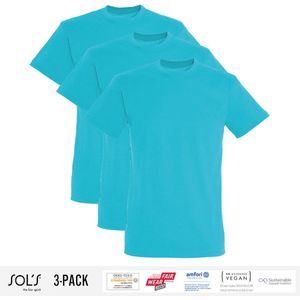3 Pack Sol's Jongens/Meisjes T-Shirt 100% biologisch katoen Ronde hals Aqua Blauw Maat 96/104 (3/4 Jaar)