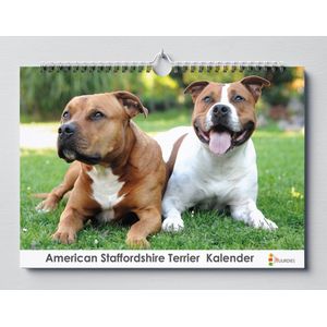 American Staffordshire kalender 35x 24 cm | Verjaardagskalender American Staffordshire | Verjaardagskalender Volwassenen