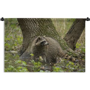 Wandkleed Bosleven - Wasbeer in het wild Wandkleed katoen 150x100 cm - Wandtapijt met foto