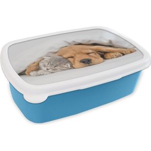 Broodtrommel Blauw - Lunchbox - Brooddoos - huisdieren - hond - Kat - Deken - 18x12x6 cm - Kinderen - Jongen
