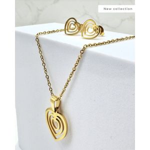 geschenk set - sieraad - oorbellen en ketting - hart- heart - earrings - necklace - stainless steel - rvs - kleur goud - cadeau kerst - kado idee mam