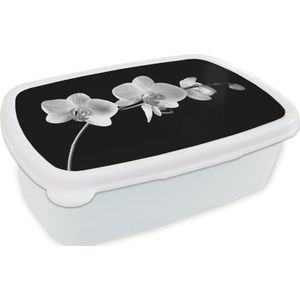 Broodtrommel Wit - Lunchbox - Brooddoos - Orchidee - Bloemen - Zwart - Roze - Knoppen - 18x12x6 cm - Volwassenen