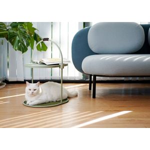 Katten krabmeubel - krabplank - groen - multifunctioneel - one size fits all