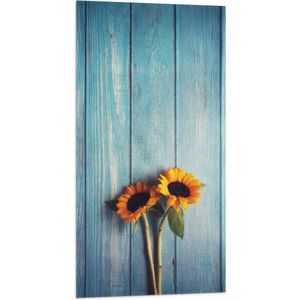 WallClassics - Vlag - Zonnebloemen met Blauwe Schutting - 50x100 cm Foto op Polyester Vlag
