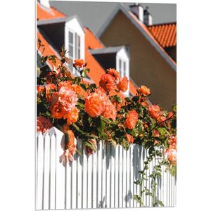 WallClassics - PVC Schuimplaat - Witte Schutting met Roze Tuinrozen - 50x75 cm Foto op PVC Schuimplaat (Met Ophangsysteem)