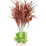 Plant java fern Gemengde kleuren XL - height 45cm