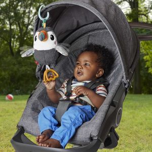 Fisher-Price Vliegen voor Onderweg Toekan