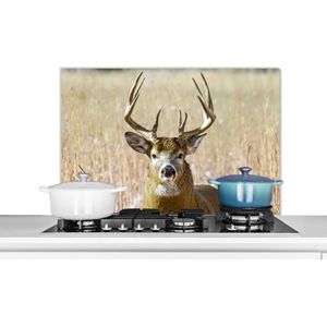 Spatscherm keuken 90x60 cm - Kookplaat achterwand Hert - Gras - Herfst - Dieren - Natuur - Gewei - Muurbeschermer - Spatwand fornuis - Hoogwaardig aluminium