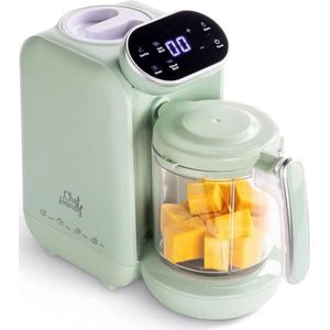 5-in-1 Multifunctionele Baby Stomer – Babymoov – Blender – Foodprocessor – Food Maker – Flessenwarmer – Compact Design - Incl Gratis Babyrecepten – Mint