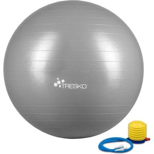 Fitnessbal met pomp - diameter 65 cm - Grijs