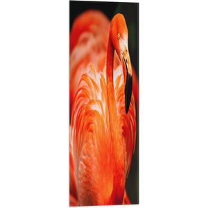 WallClassics - Vlag - Rode Flamingo - 30x90 cm Foto op Polyester Vlag