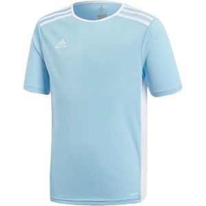 adidas Entrada 18 Sportshirt - Maat 128  - Unisex - lichtblauw,wit