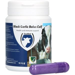 Excellent Black garlic bolus kalf