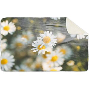 Fleecedeken Daisy bloemen, 96x146cm, Polyester Sherpa, deken met print