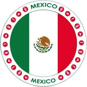 50x Bierviltjes Mexico thema print - Onderzetters Mexicaanse vlag - Landen decoratie feestartikelen