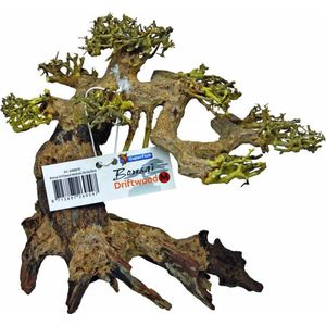 Superfish Bonsai Driftwood Aquariumdecoratie Medium