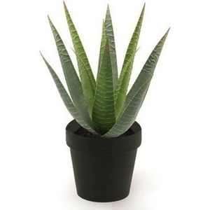 Kunstplant aloe vera groen in pot 23 cm - Kamerplant groene aloe vera