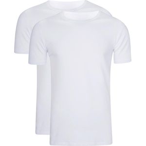 WE Fashion Heren T-shirt, 2-pack - Maat XL