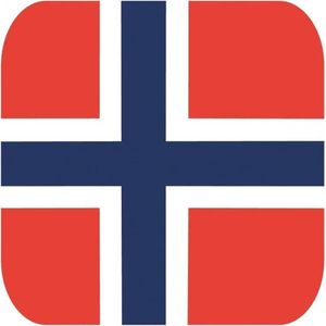 30x Bierviltjes Noorse vlag vierkant - Noorwegen feestartikelen - Landen decoratie