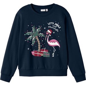 NAME IT NKFVISMAS LS NREG SWEAT BRU Meisjes Trui - Maat 146/152