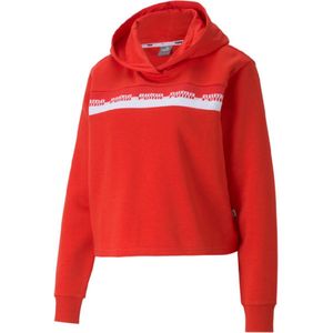 Puma hoodie maat S